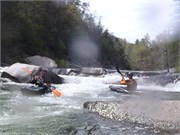 Wilsons Creek 206